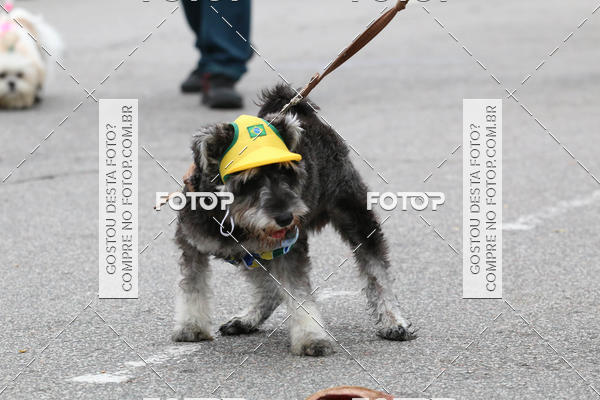 Buy your photos of the event13� C�ominhada - Santos on Fotop