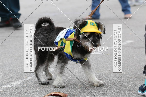 Buy your photos of the event13� C�ominhada - Santos on Fotop