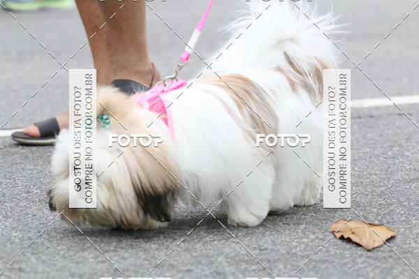 Buy your photos of the event13� C�ominhada - Santos on Fotop