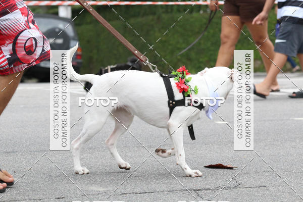 Buy your photos of the event13� C�ominhada - Santos on Fotop