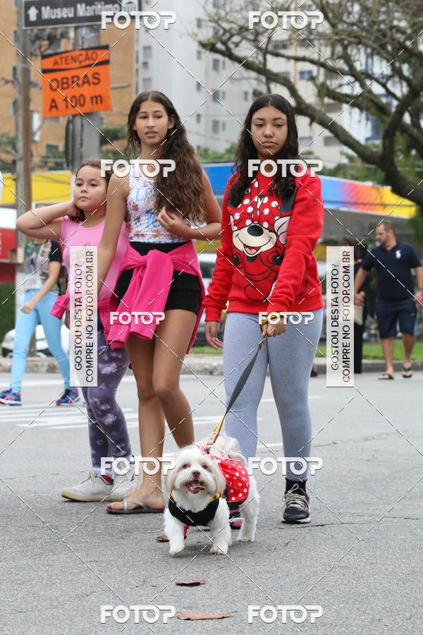 Buy your photos of the event13� C�ominhada - Santos on Fotop