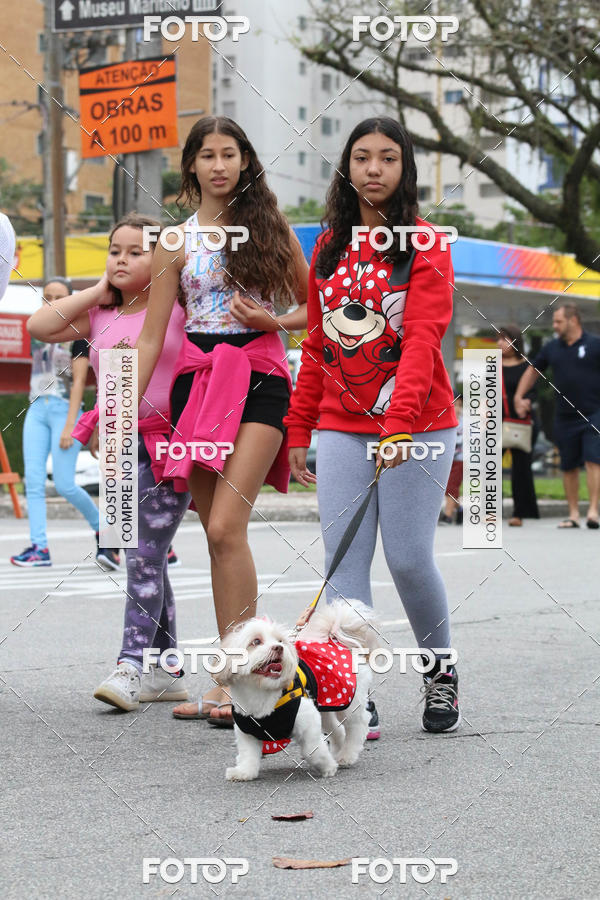 Buy your photos of the event13� C�ominhada - Santos on Fotop