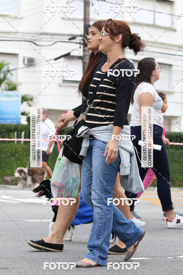 Buy your photos of the event13� C�ominhada - Santos on Fotop