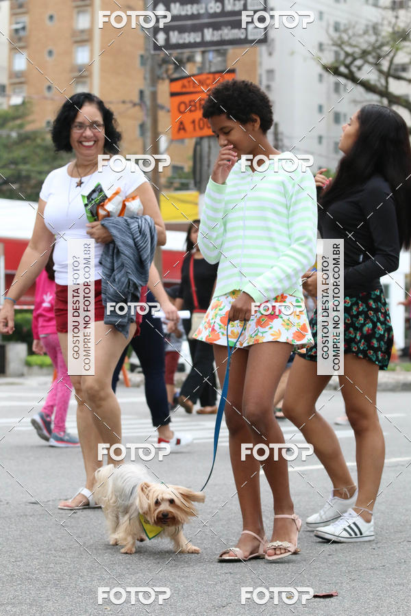 Buy your photos of the event13� C�ominhada - Santos on Fotop
