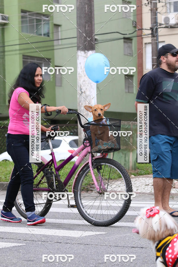 Buy your photos of the event13� C�ominhada - Santos on Fotop