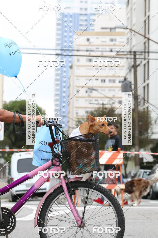 Buy your photos of the event13� C�ominhada - Santos on Fotop