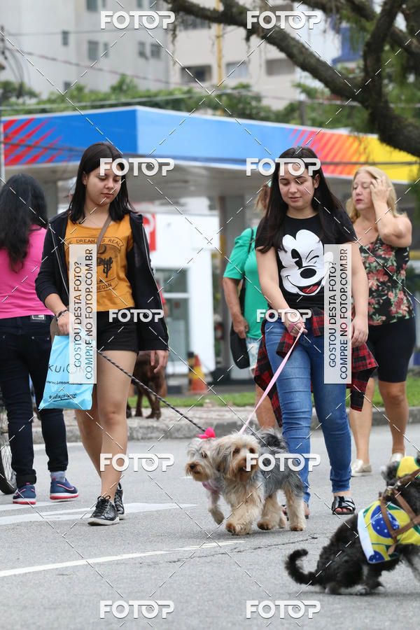 Buy your photos of the event13� C�ominhada - Santos on Fotop