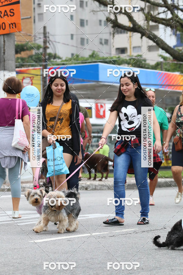 Buy your photos of the event13� C�ominhada - Santos on Fotop
