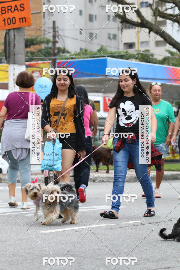 Buy your photos of the event13� C�ominhada - Santos on Fotop