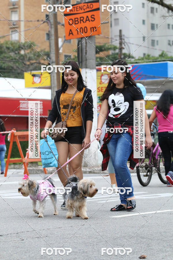 Buy your photos of the event13� C�ominhada - Santos on Fotop