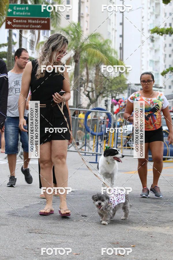 Buy your photos of the event13� C�ominhada - Santos on Fotop