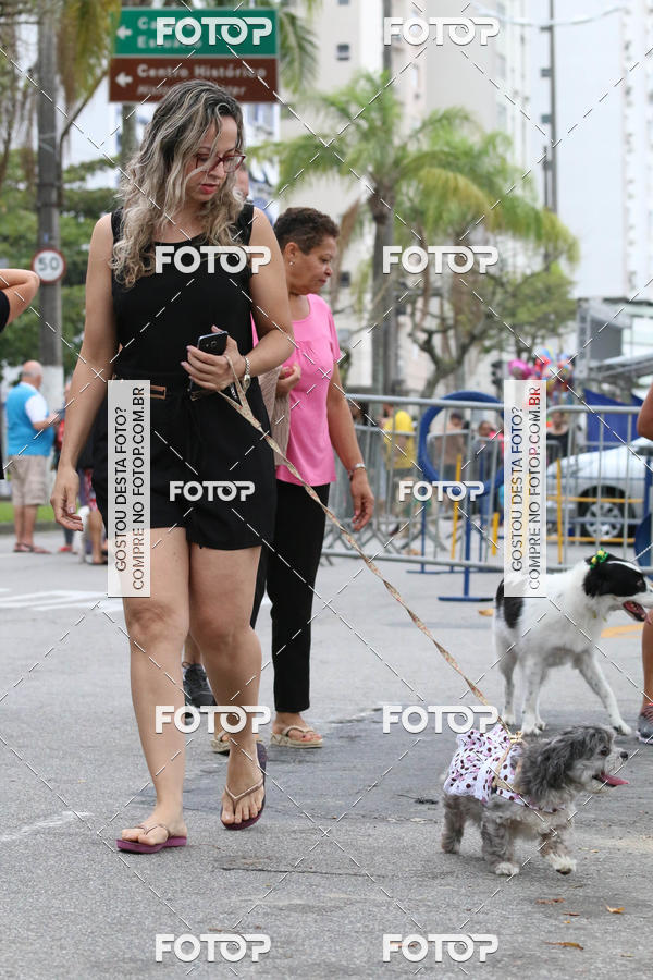 Buy your photos of the event13� C�ominhada - Santos on Fotop