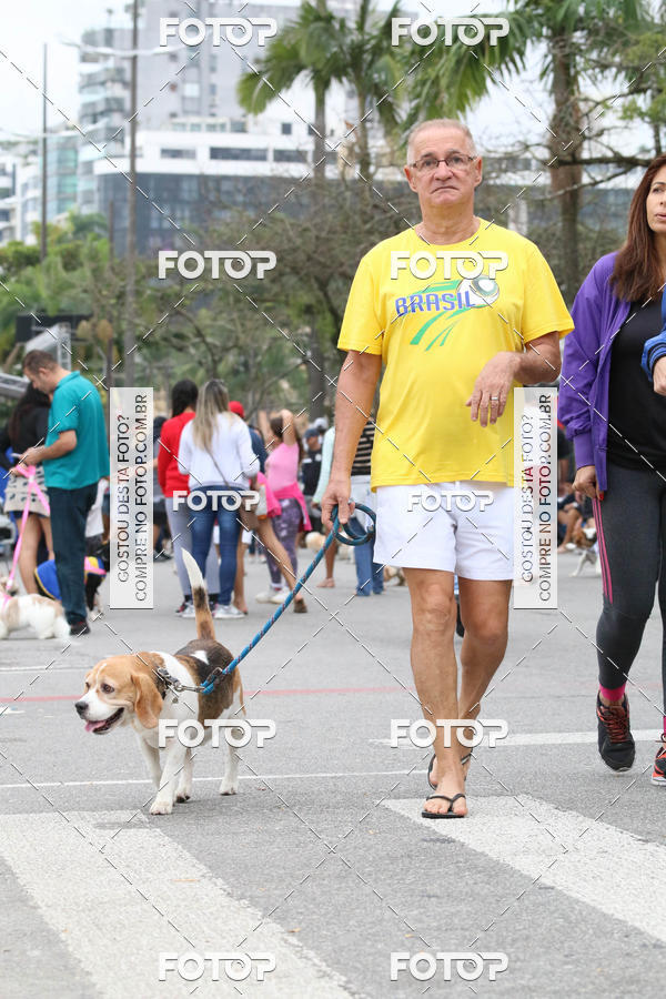 Buy your photos of the event13� C�ominhada - Santos on Fotop