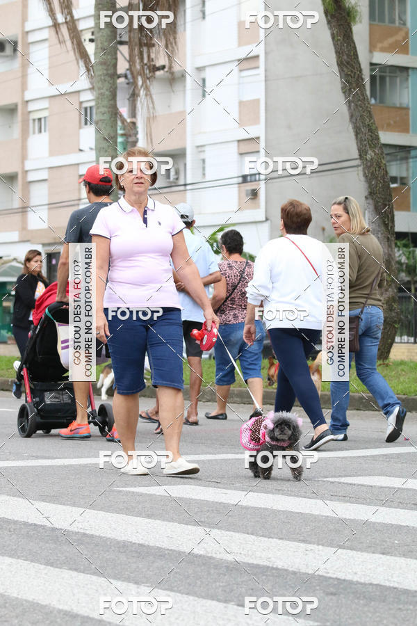 Buy your photos of the event13� C�ominhada - Santos on Fotop