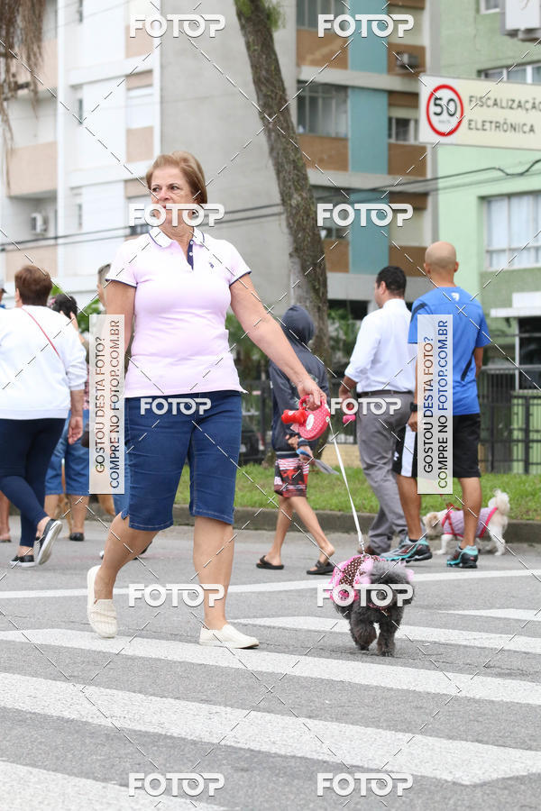 Buy your photos of the event13� C�ominhada - Santos on Fotop