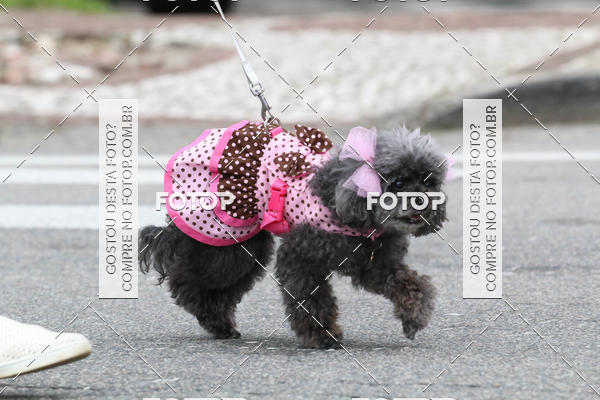 Buy your photos of the event13� C�ominhada - Santos on Fotop