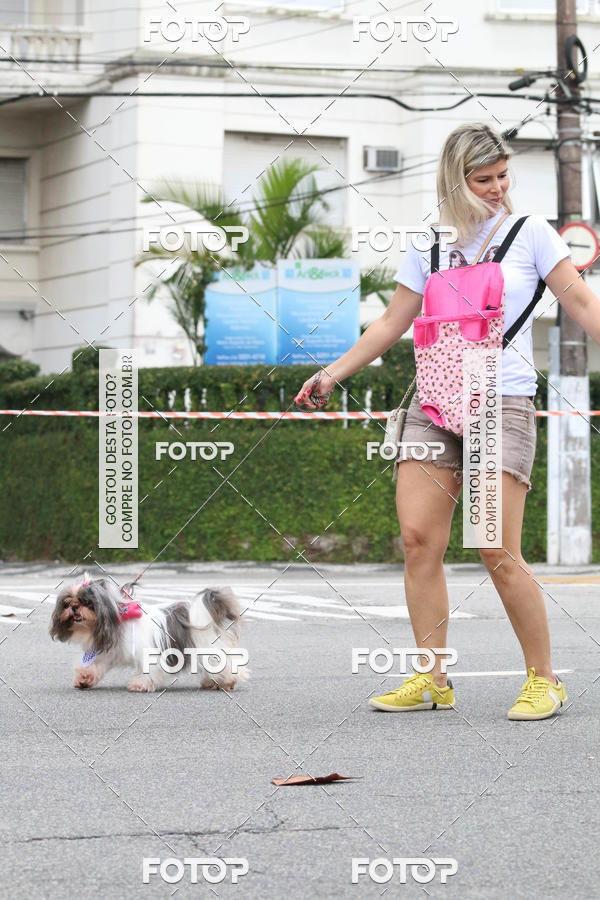 Buy your photos of the event13� C�ominhada - Santos on Fotop