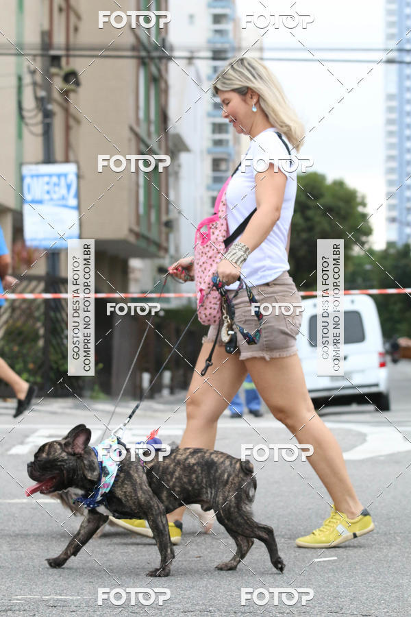 Buy your photos of the event13� C�ominhada - Santos on Fotop