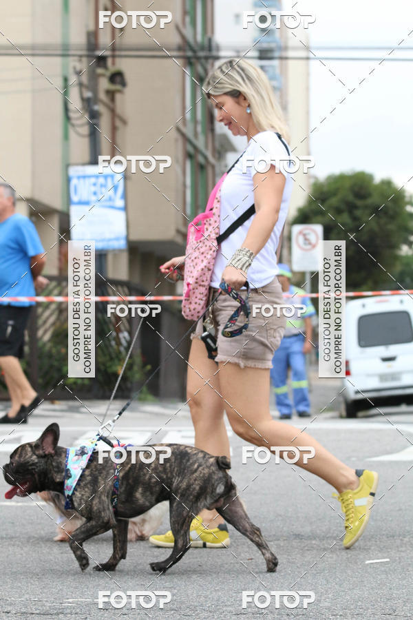 Buy your photos of the event13� C�ominhada - Santos on Fotop