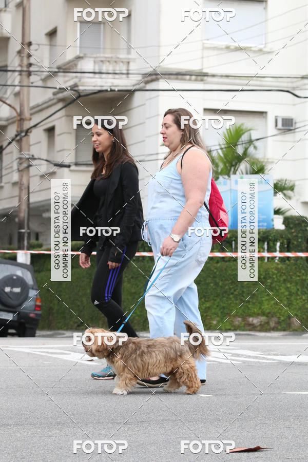 Buy your photos of the event13� C�ominhada - Santos on Fotop