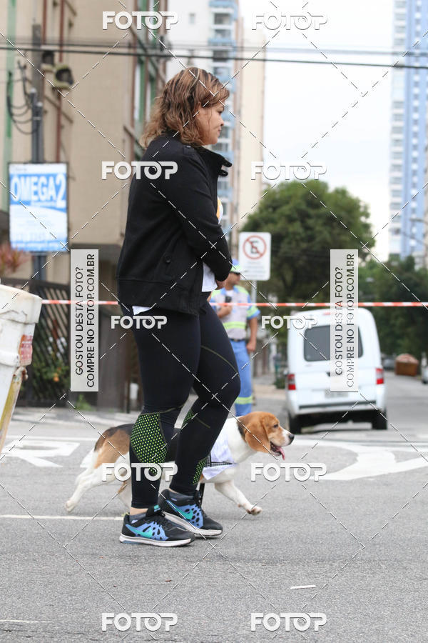 Buy your photos of the event13� C�ominhada - Santos on Fotop