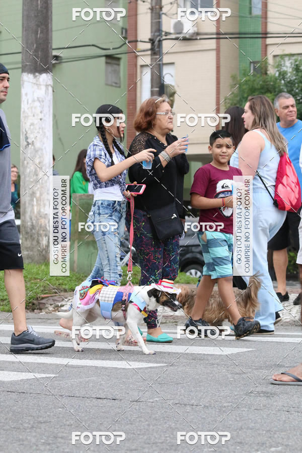 Buy your photos of the event13� C�ominhada - Santos on Fotop