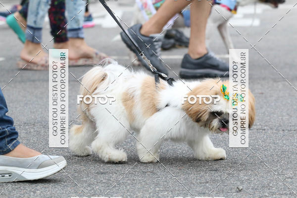 Buy your photos of the event13� C�ominhada - Santos on Fotop