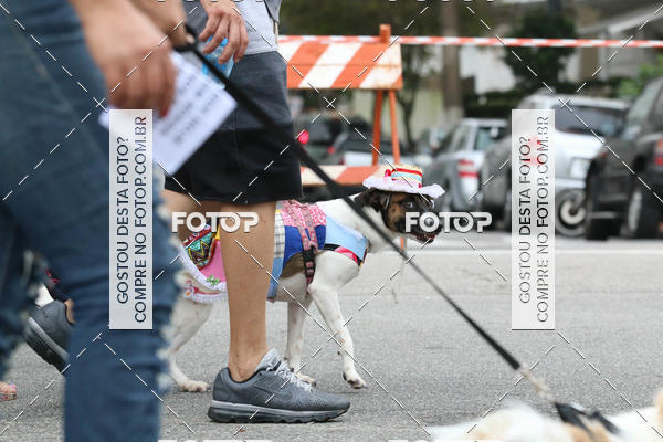 Buy your photos of the event13� C�ominhada - Santos on Fotop