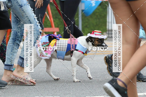 Buy your photos of the event13� C�ominhada - Santos on Fotop