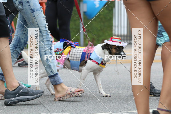 Buy your photos of the event13� C�ominhada - Santos on Fotop