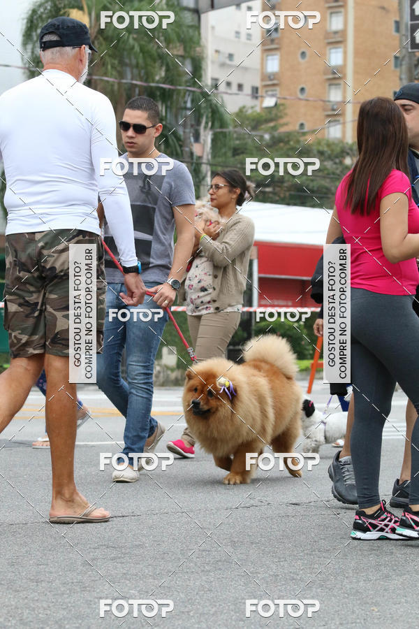 Buy your photos of the event13� C�ominhada - Santos on Fotop