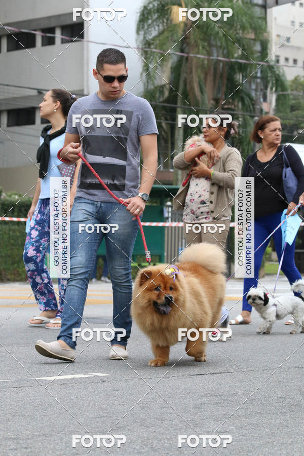 Buy your photos of the event13� C�ominhada - Santos on Fotop