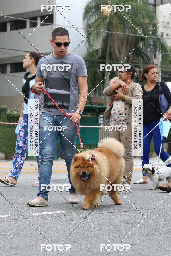 Buy your photos of the event13� C�ominhada - Santos on Fotop