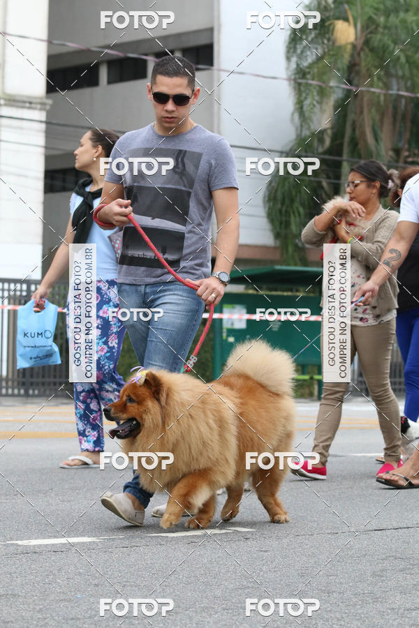 Buy your photos of the event13� C�ominhada - Santos on Fotop