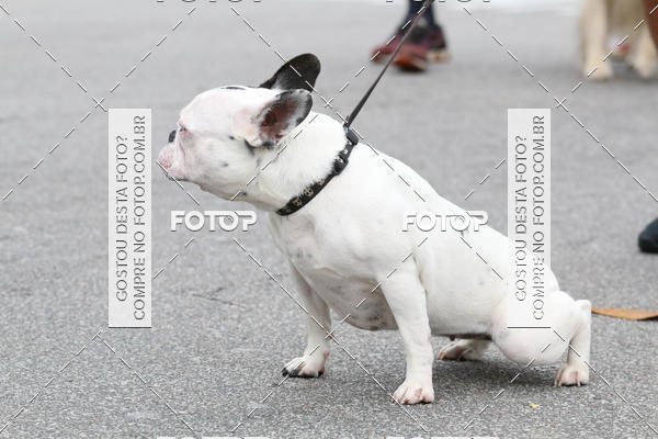 Buy your photos of the event13� C�ominhada - Santos on Fotop