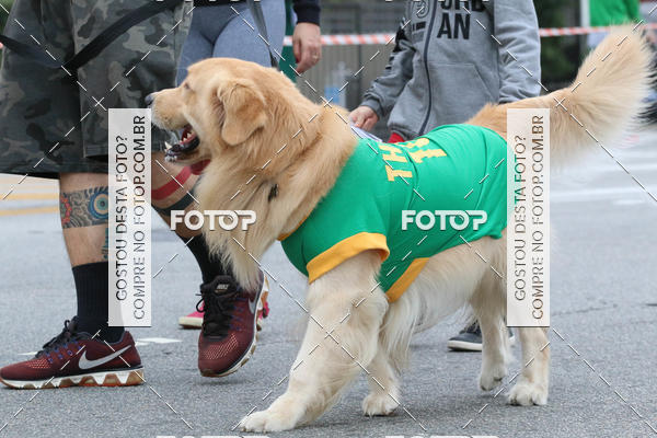 Buy your photos of the event13� C�ominhada - Santos on Fotop