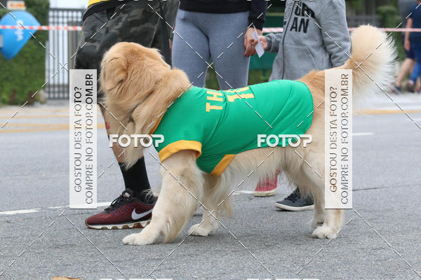 Buy your photos of the event13� C�ominhada - Santos on Fotop