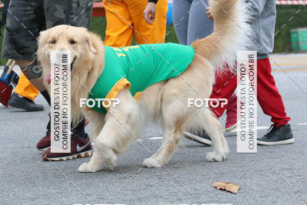 Buy your photos of the event13� C�ominhada - Santos on Fotop