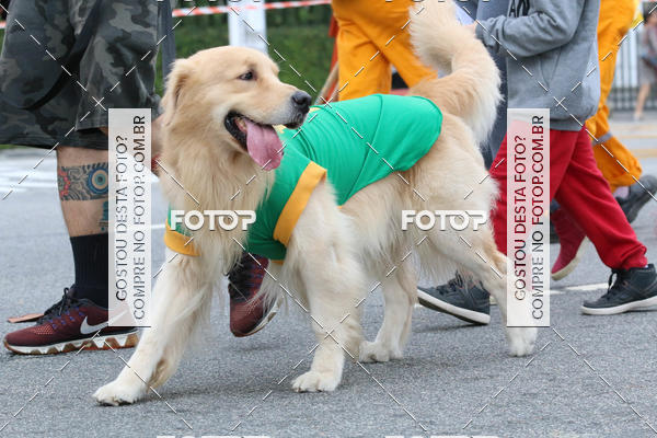 Buy your photos of the event13� C�ominhada - Santos on Fotop