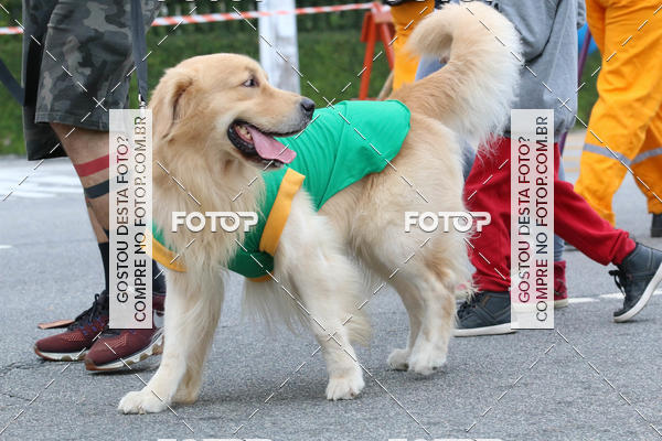 Buy your photos of the event13� C�ominhada - Santos on Fotop