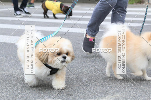 Buy your photos of the event13� C�ominhada - Santos on Fotop