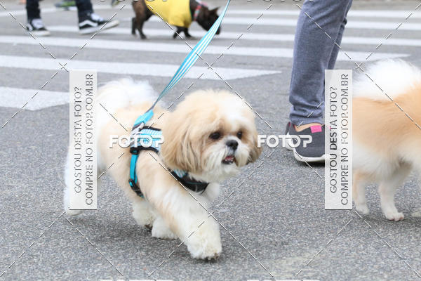 Buy your photos of the event13� C�ominhada - Santos on Fotop