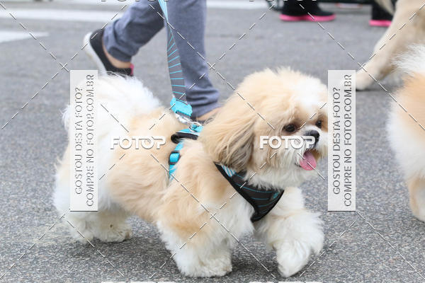 Buy your photos of the event13� C�ominhada - Santos on Fotop