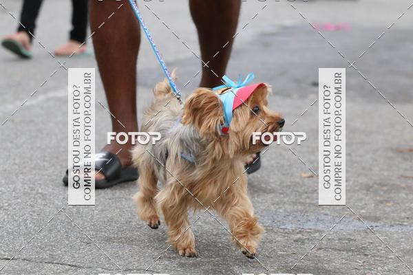 Buy your photos of the event13� C�ominhada - Santos on Fotop