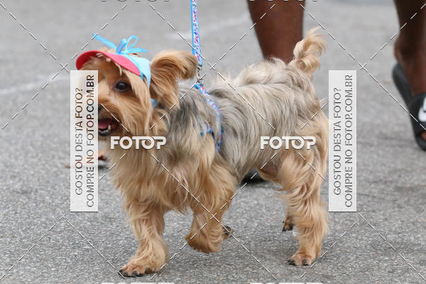 Buy your photos of the event13� C�ominhada - Santos on Fotop