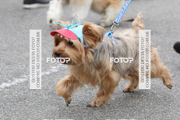 Buy your photos of the event13� C�ominhada - Santos on Fotop