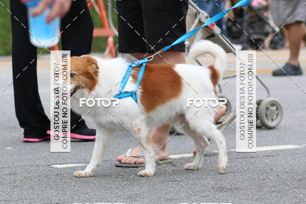 Buy your photos of the event13� C�ominhada - Santos on Fotop