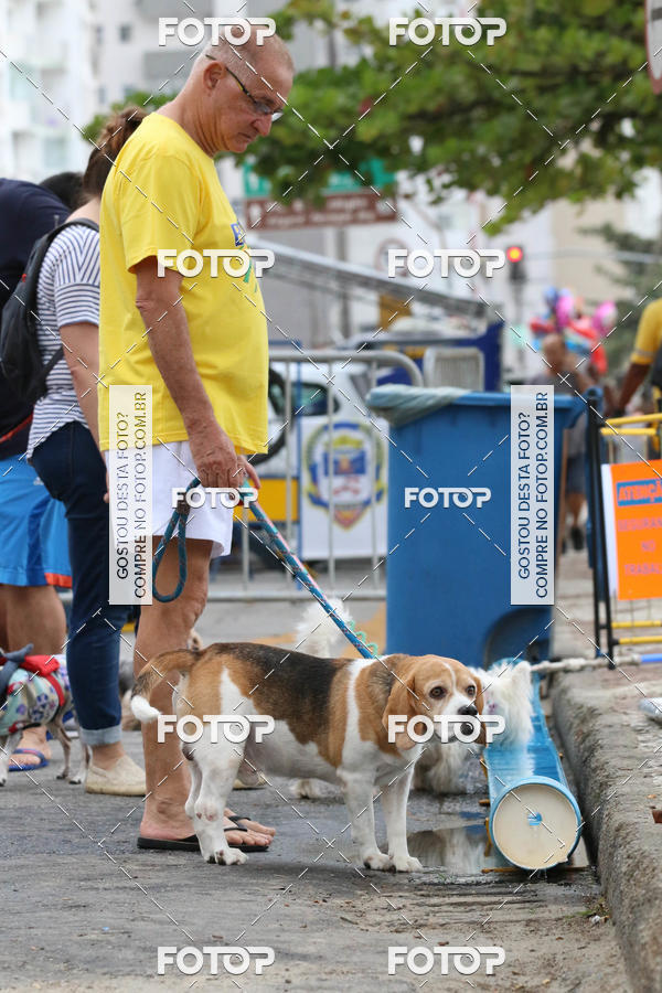 Buy your photos of the event13� C�ominhada - Santos on Fotop