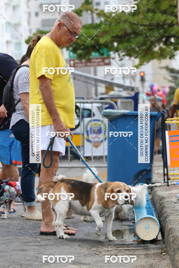 Buy your photos of the event13� C�ominhada - Santos on Fotop