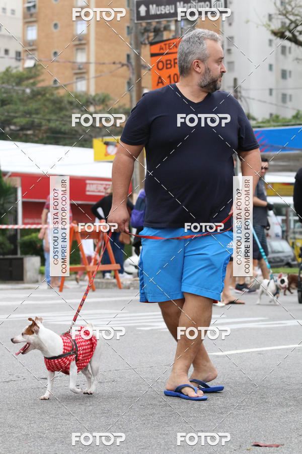 Buy your photos of the event13� C�ominhada - Santos on Fotop